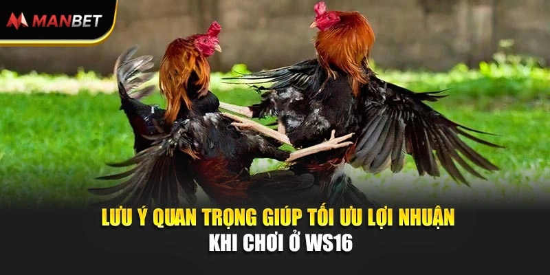 Lưu ý quan trọng giúp tối ưu lợi nhuận khi chơi ở WS168