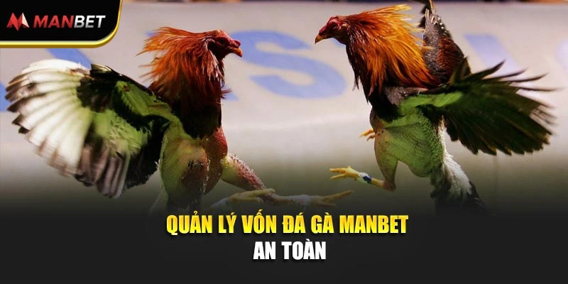 Quản lý vốn đá gà ManBet an toàn